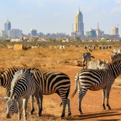 Nairobi National Park