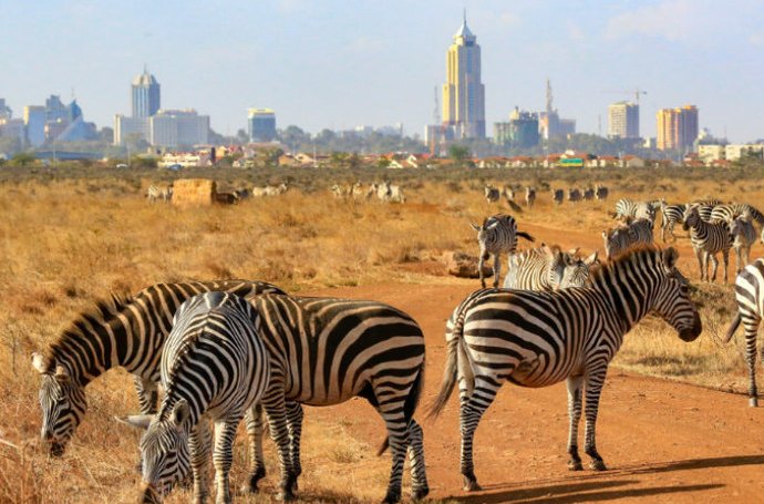 Nairobi National Park