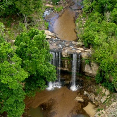 Shimba Hills National Reserve