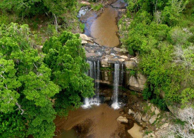 Shimba Hills National Reserve