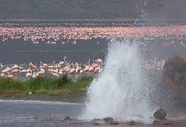 Bogoria National Reserve