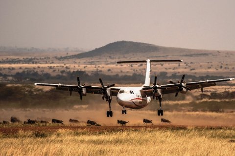 3 Tage Flugsafari von Mombasa nach Masai Mara