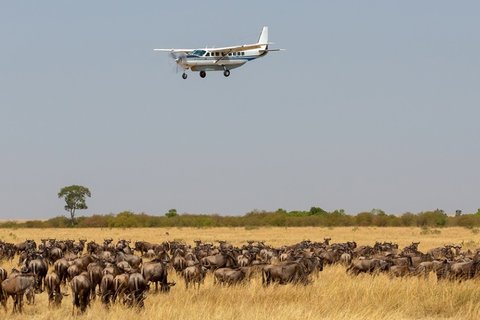 3 TAGE MAASAI MARA NATIONALPARK MIT DEM FLUG AB NAIROBI