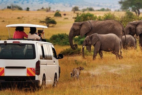 6 TAGE MASAI MARA, NAKURU-SEE, AMBOSELI-NATIONALPARK