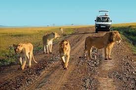 2 TAGE 1 NACHT TSAVO-OST-NATIONALPARK