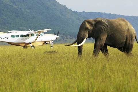 2 TAGE MAASAI MARA NATIONALPARK MIT DEM FLUGZEUG