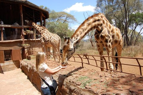 KAREN BLIXEN MUSEUM, KAZURI BEAD CENTER & GIRAFFE CENTER TOUR