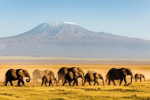 5 days tsavo east, tsavo west, amboseli