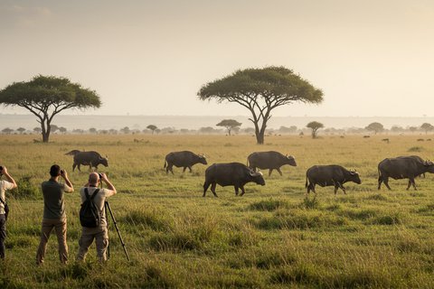 5 days Masai Mara, lake Nakuru, lake naivasha